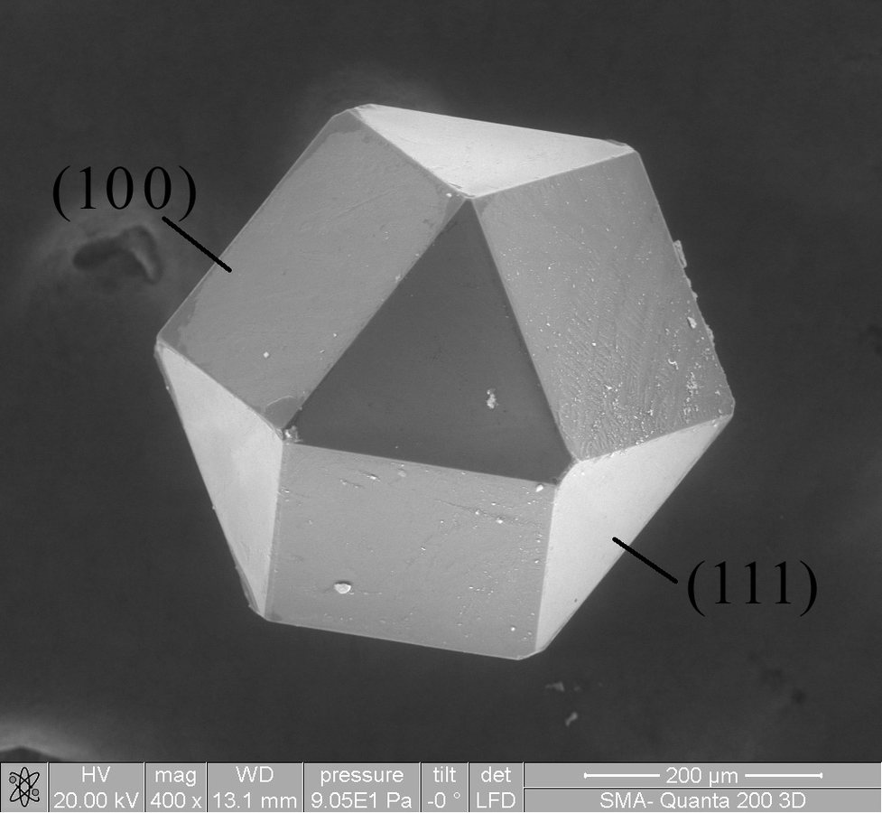Correlative Photoluminescence Techniques Reveal Hidden Material Dynamics