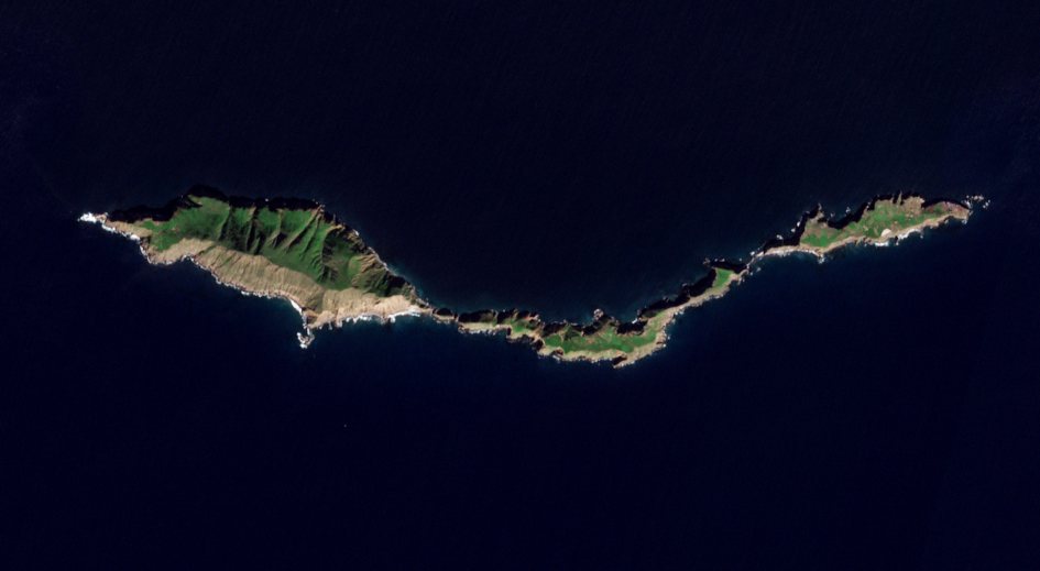 Live Kelp Forest Cam Opens Window Into Anacapa Island's Underwater World