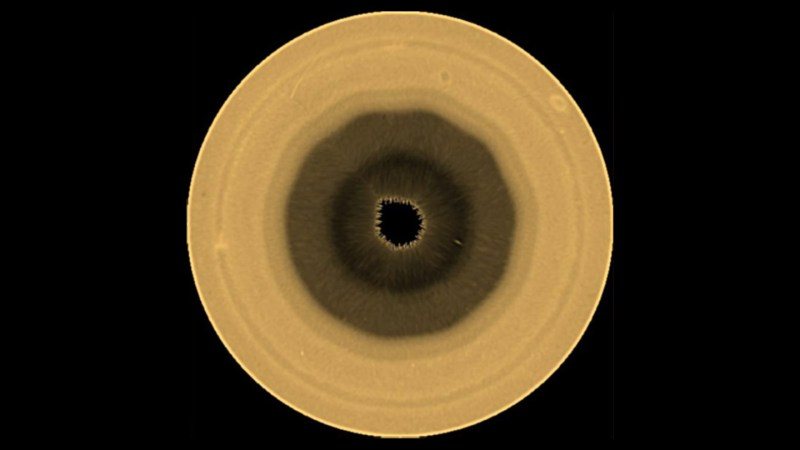 Saturn's south pole hosts a newly discovered decagon-shaped weather pattern