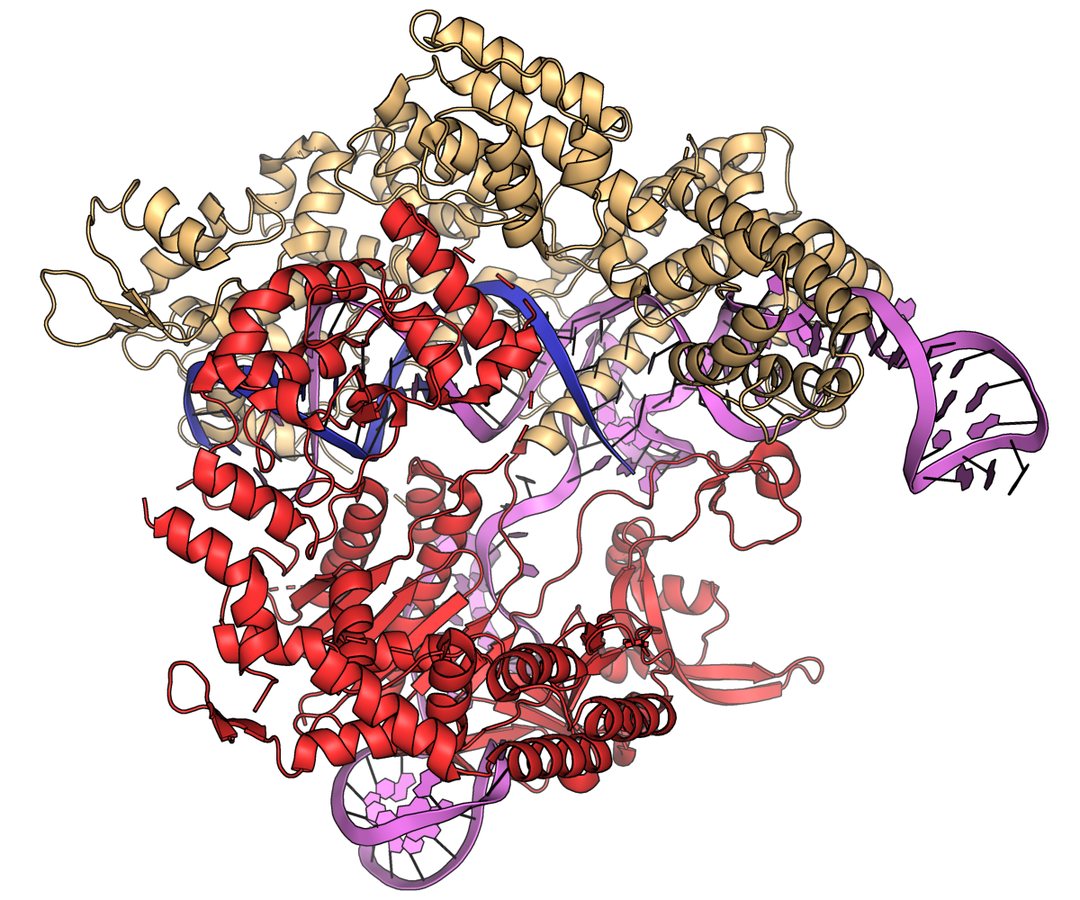 Gene-Editing Therapies Show Promise but Safety Remains Key Challenge