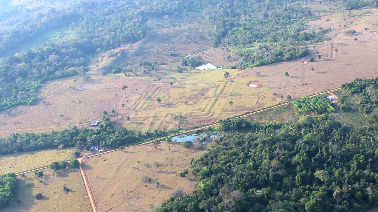 Laser Scans Reveal Hundreds of Ancient Geoglyphs Hidden in the Amazon Rainforest