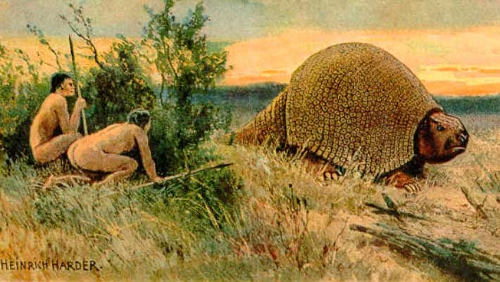 Paleontologists Identify New Species of Glyptodont From 19th-Century Skull