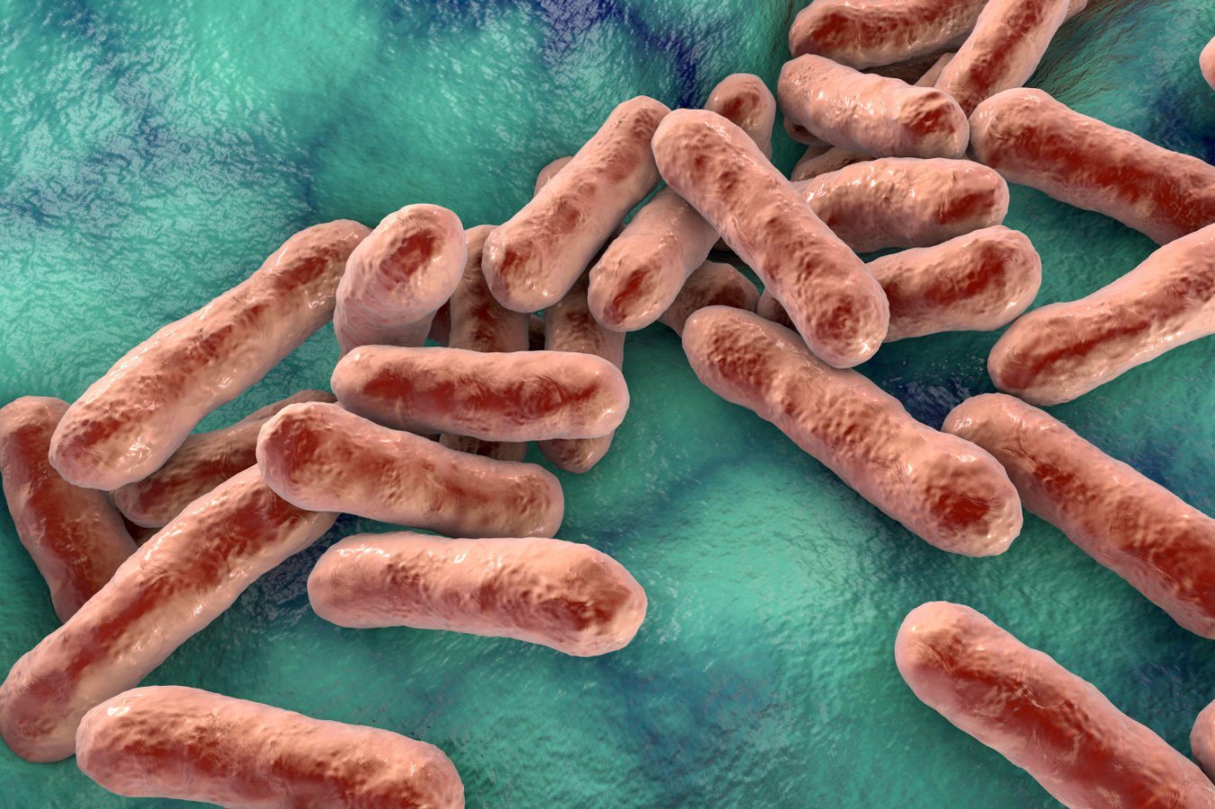 Vaccines could soon offer a new way to treat acne