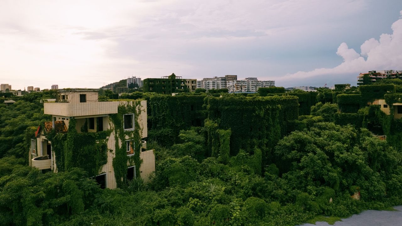 Climate crisis accelerates plant evolution, researchers say