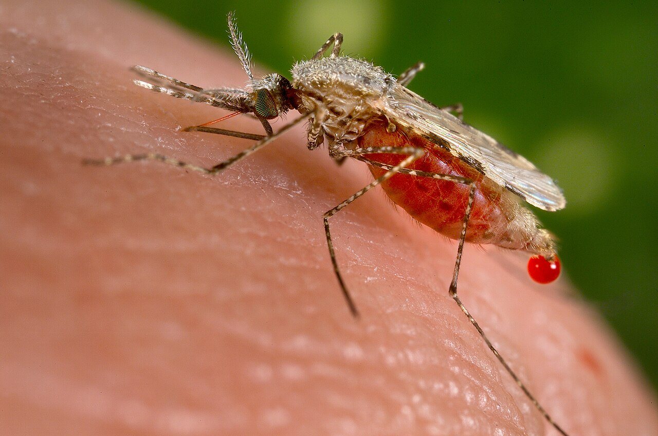 Climate change threatens malaria elimination efforts across Asia Pacific