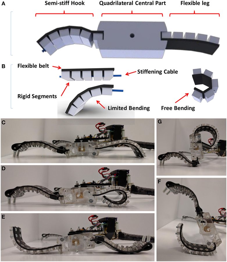 Clock-Free Synchronization Achieved in Robotic Material, Advancing Soft Robotics