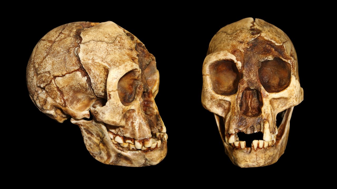 Ancient Egyptian princesses buried with weapons show signs of archery use