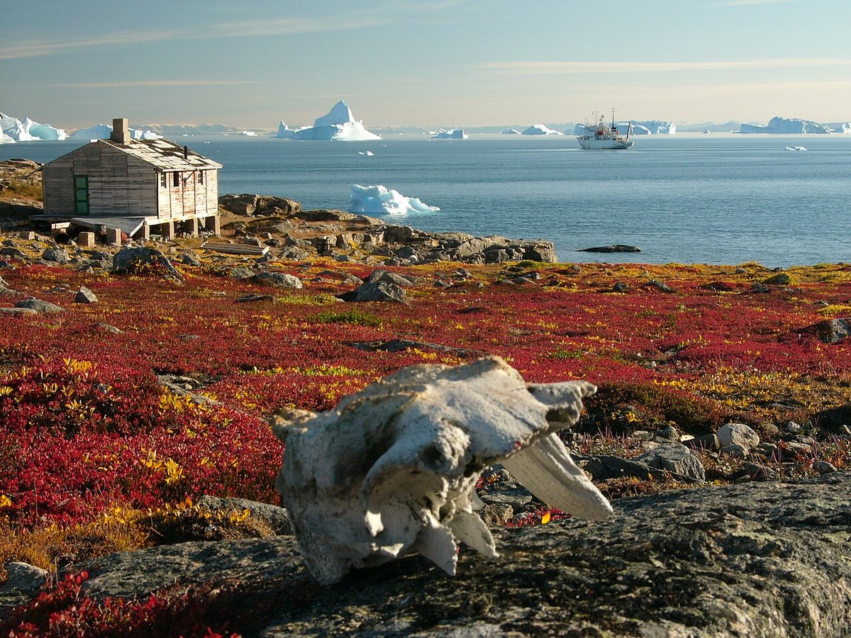 Scientists test whether Arctic ecosystems can adapt to climate change together