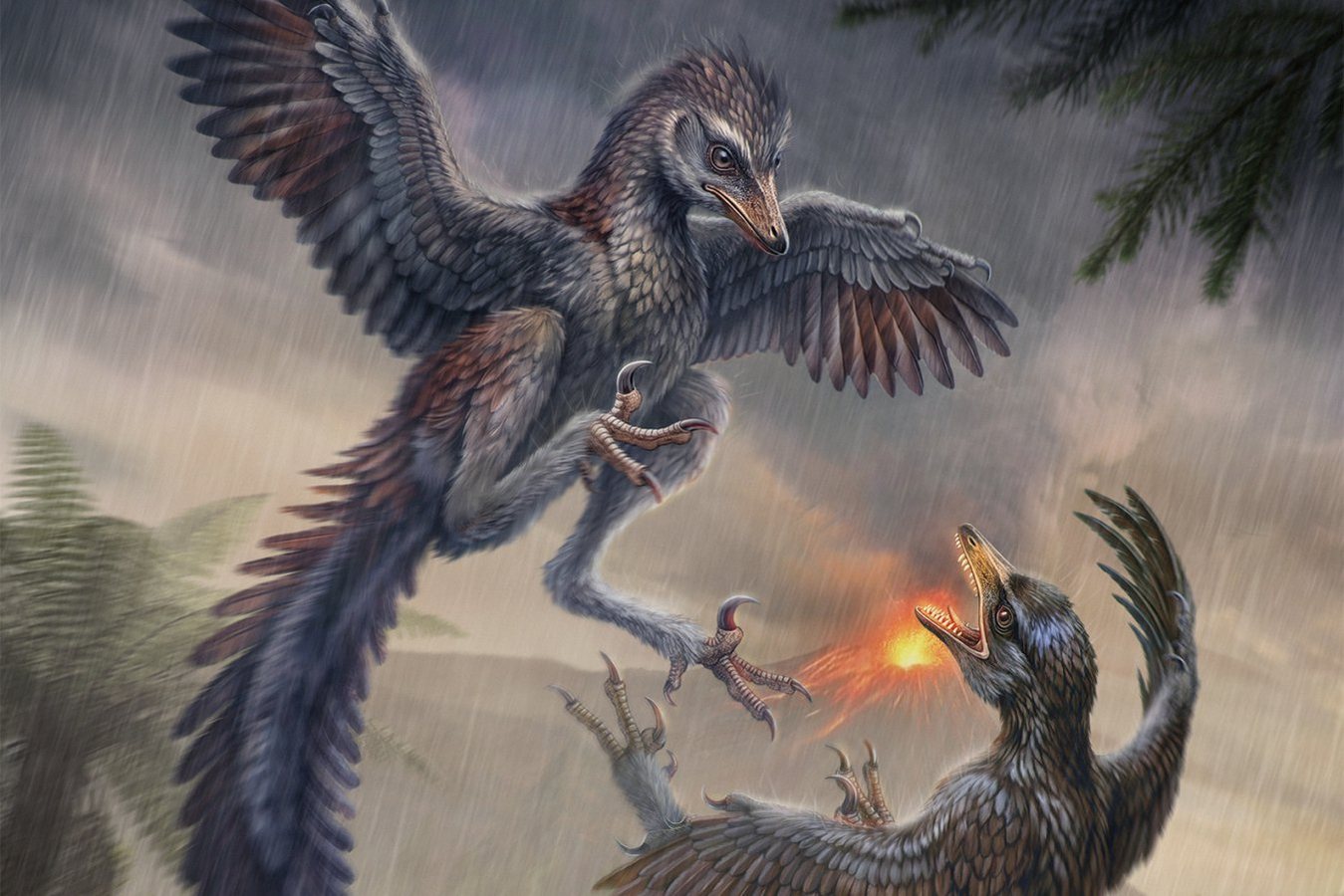 Jurassic Fossil Reveals Flightless Bird, Challenging Wing Evolution Theory