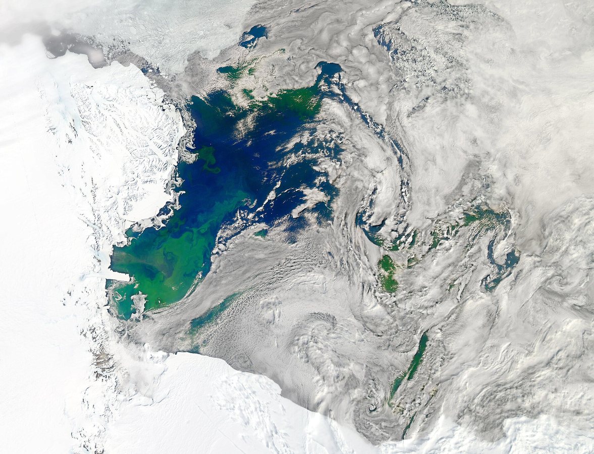 Marine Heatwaves Can Boost CO2 Uptake on Polar Shelves