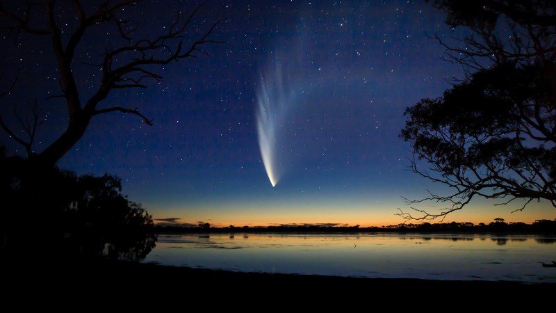 Comets Were Probably Poor Carriers of Life's Building Blocks to Early Earth