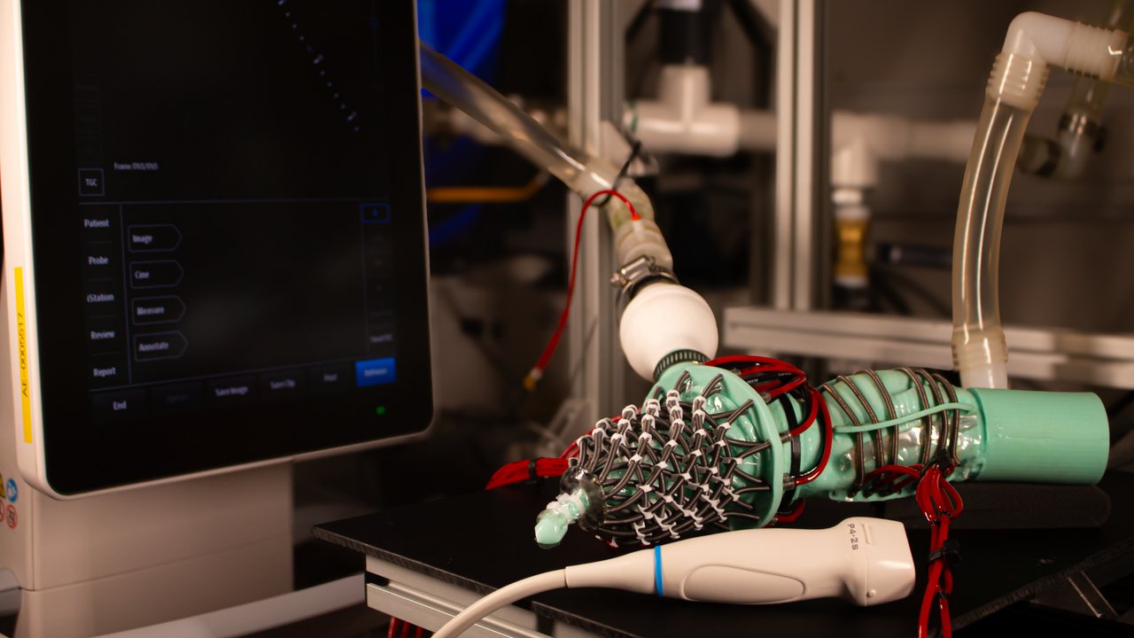 New robotic heart replicates common heart condition to aid research
