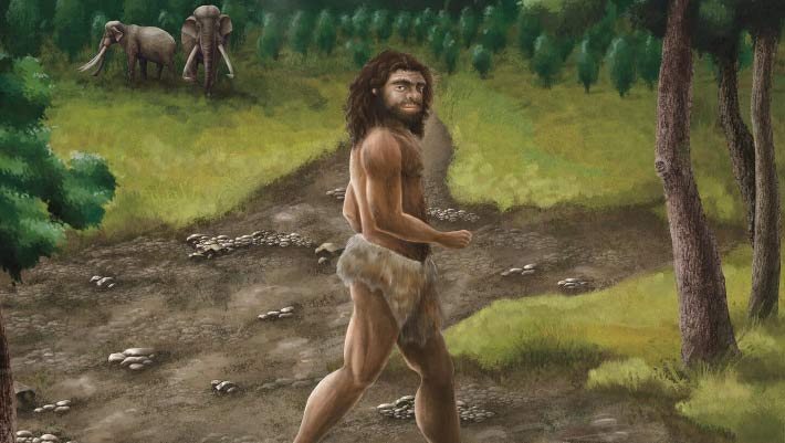 Neolithic Bones in Spain Show Evidence of Cannibalism