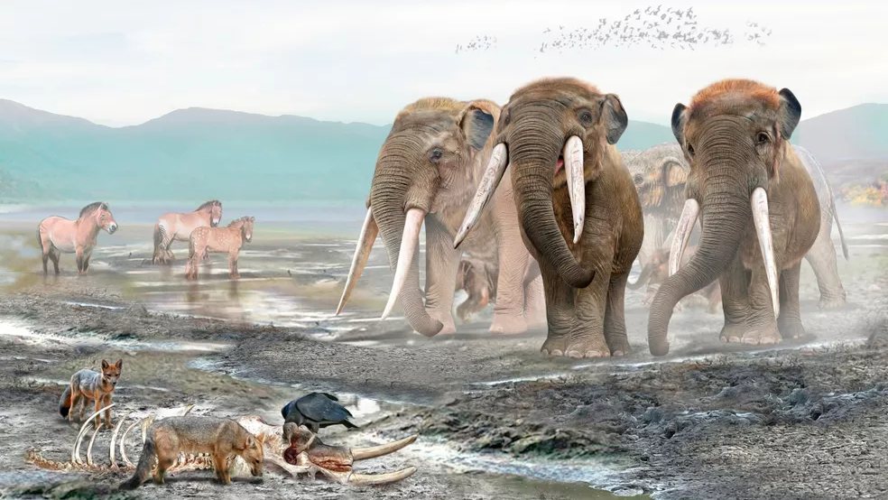 Butchered Gomphothere Bones in Chile Push Back Timeline of Early Americans