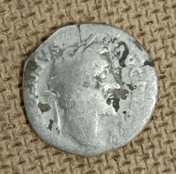 Archaeologists recover more than 700 Roman coins in southwestern Hungary
