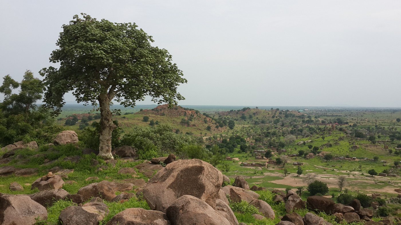 War Has Broken Sudan’s Health System Faster Than Aid Can Repair It