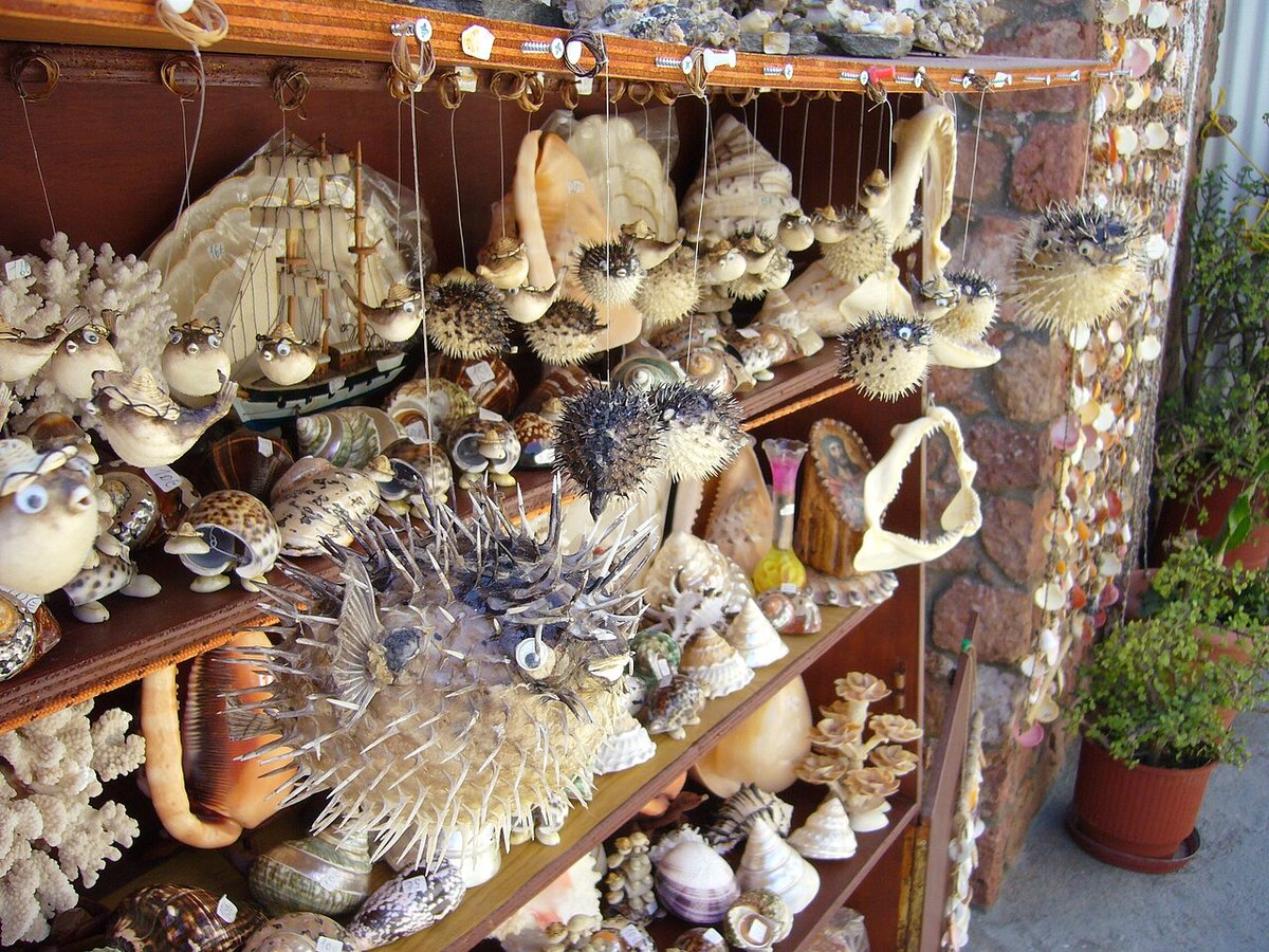 Study finds twice as many species traded in wildlife markets than thought