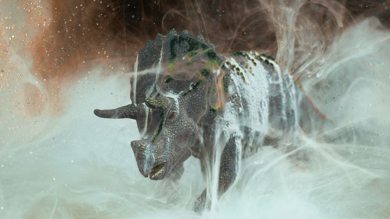 New Evidence Revives Hypothesis That Fungi Helped Mammals Survive Asteroid Impact