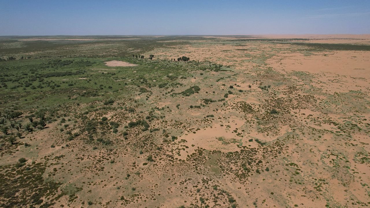 China's Great Green Wall Trees Grow Faster Than Natural Forests, Study Finds