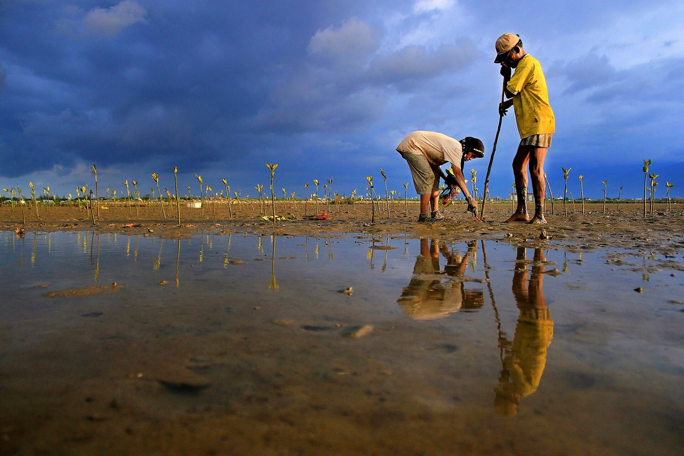 Community-Led Restoration Drives Conservation Across the Eastern Himalayas