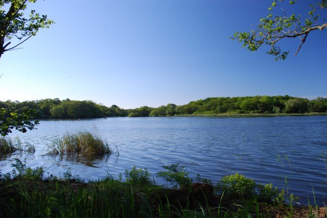 Norfolk Couple Wins Third Legal Case Against Natural England Over Catfield Fen Pollution