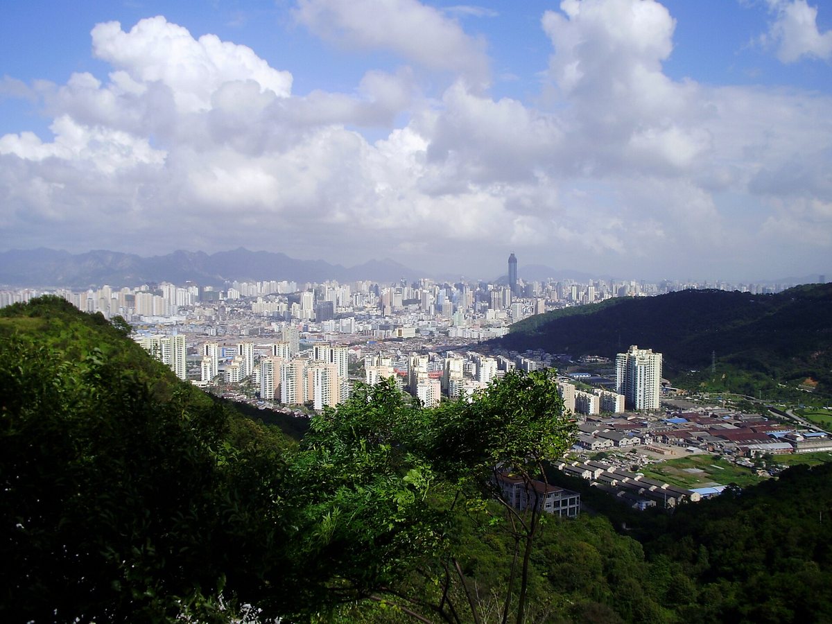 World Young Scientist Summit 2026 Opens in Wenzhou with Nearly 800 Attendees