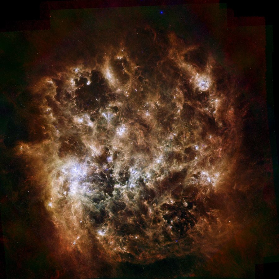 Webb telescope captures young stars forming in nebula N159