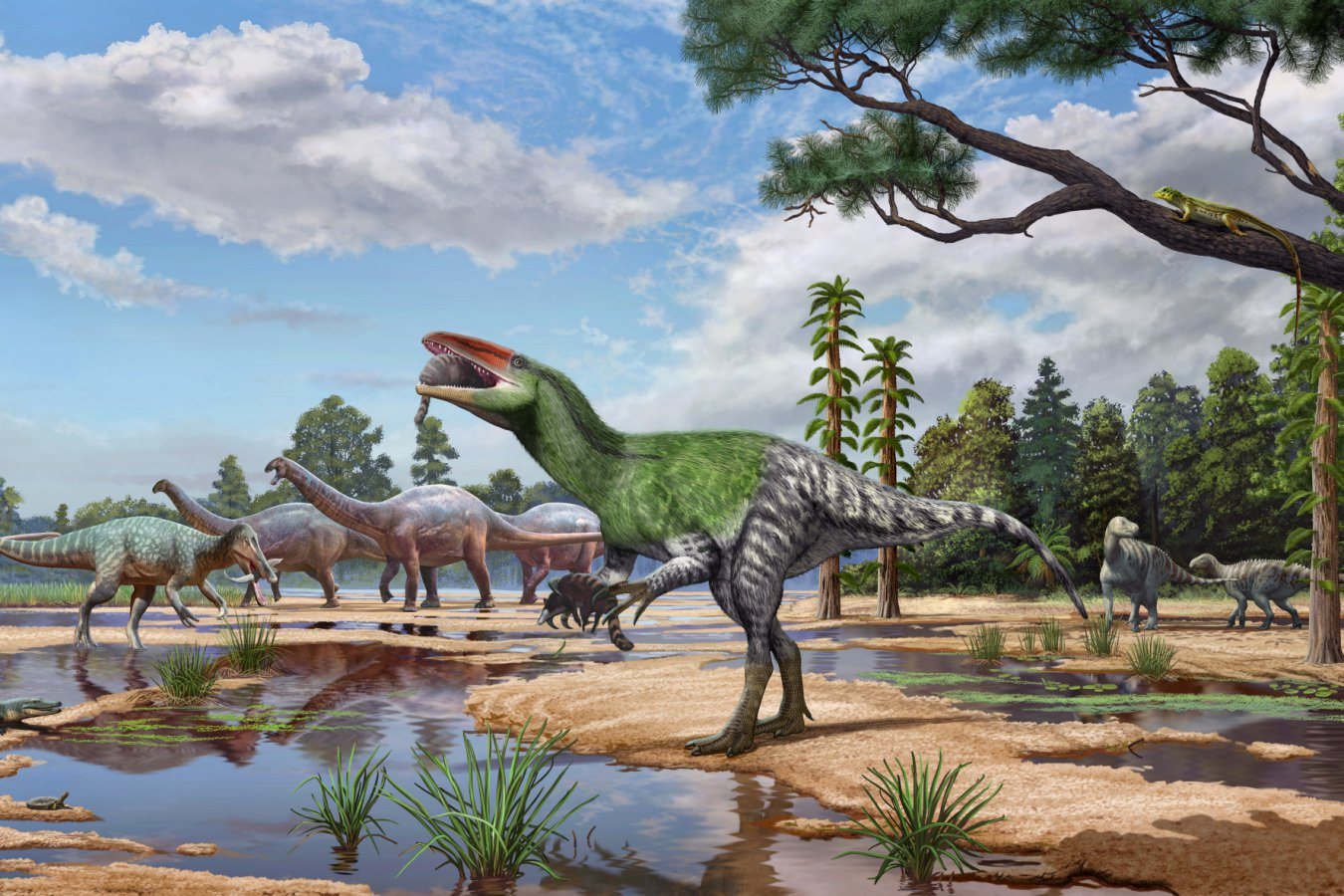 New Megaraptoran Dinosaur Identified from 100-Year-Old Isle of Wight Fossil