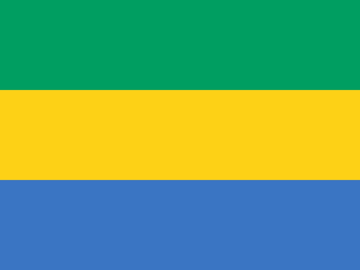 Gabon Moves to Protect Sacred Iboga Plant as US Drug Companies Eye Its Potential