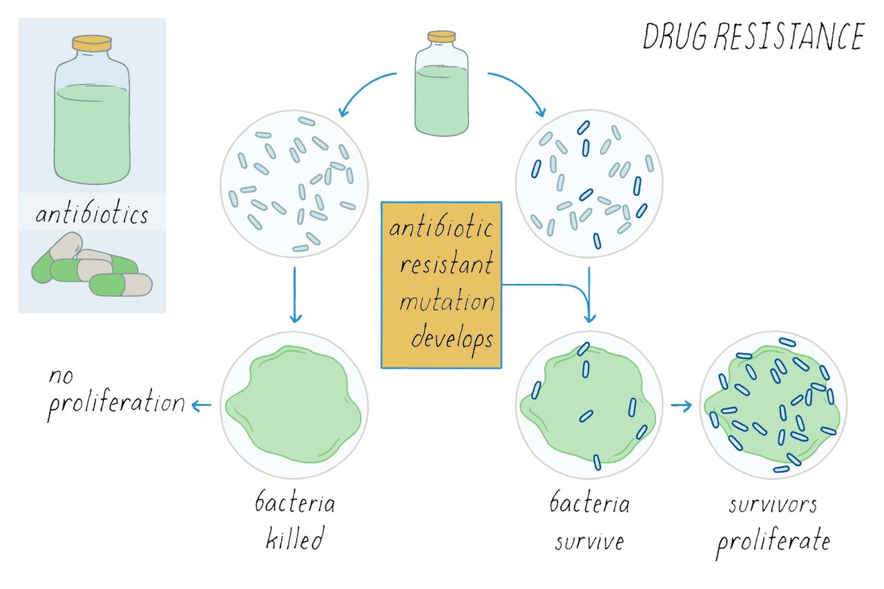 Experimental Drug CS18 Disables Tumor Defenses to Restore Cancer Drug Sensitivity