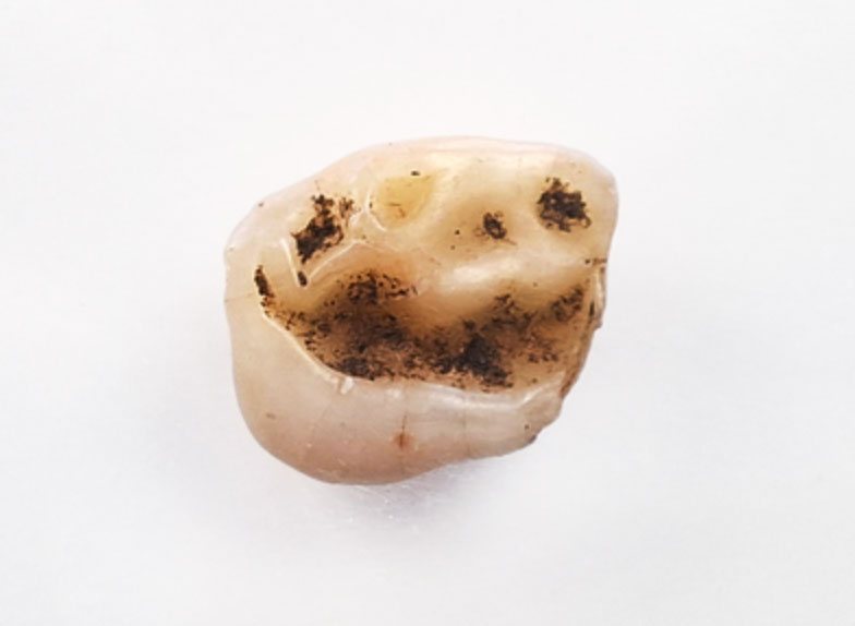 Mesolithic Hunter-Gatherer Camp Found Beneath Neolithic Layers in Adriatic Cave