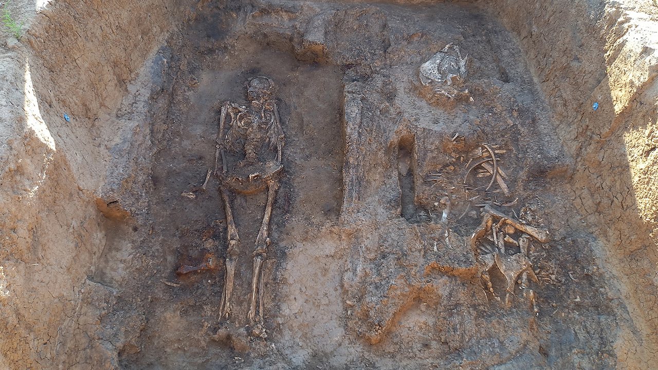 Medieval nobleman buried with horse and dog found in rare wooden tomb in Russia