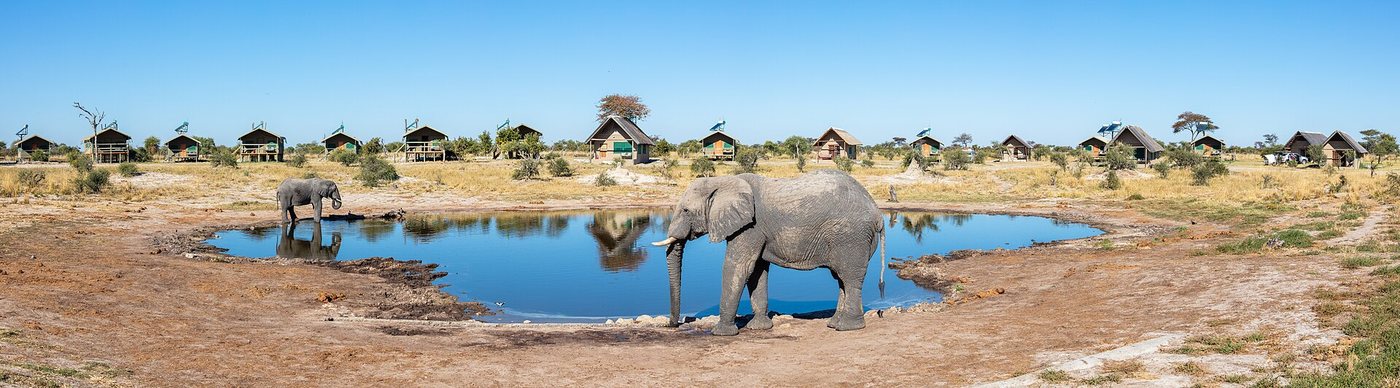 Sesame Street Characters Travel to Kenya for Elephant Sanctuary Special