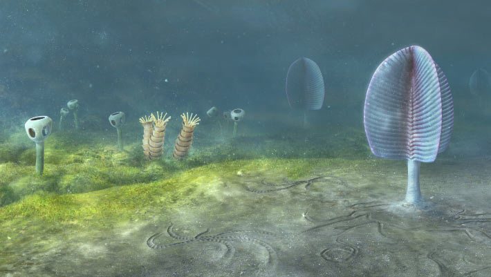 Sponge Biomarkers Suggest Animals Emerged 200 Million Years Earlier Than Fossils Show