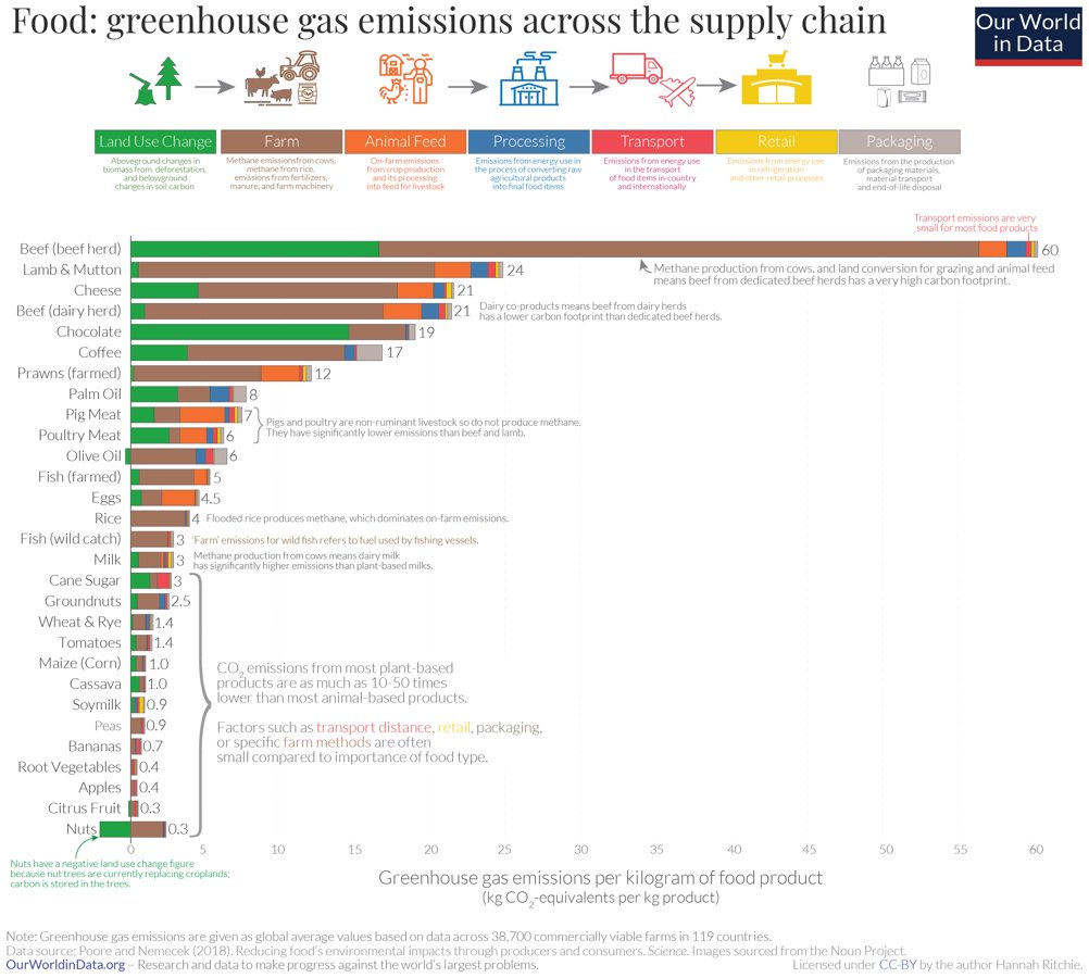Study Calls for Consistent Reporting of Forest Carbon Emissions and Regeneration