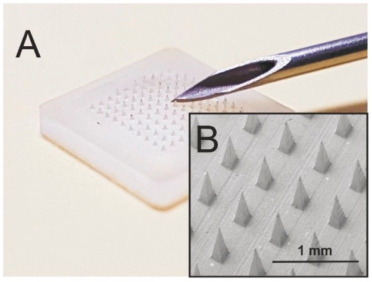 Biodegradable STAR Particles Use Microneedles to Boost Skin Drug Delivery