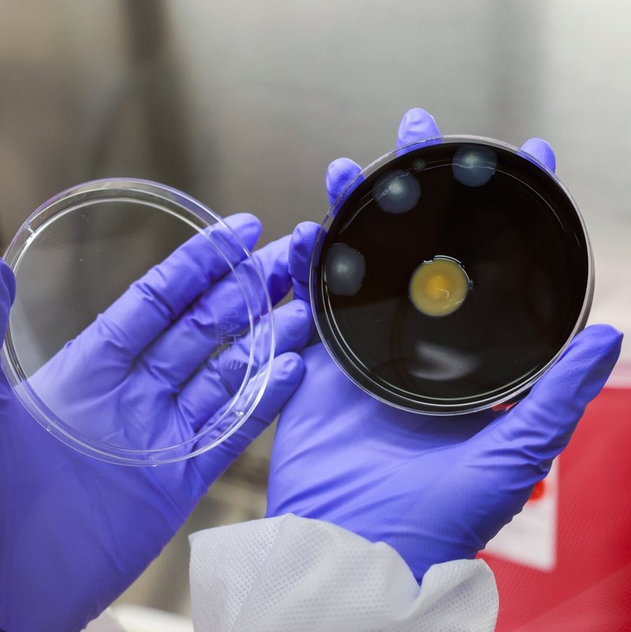 Third Death Reported in Manhattan Legionnaires’ Disease Outbreak