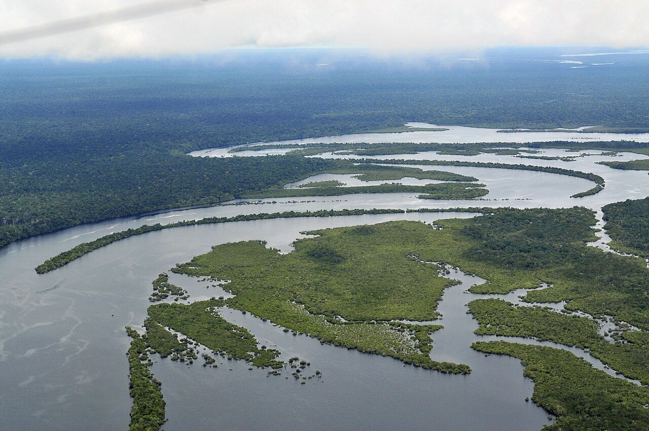 Amazon Rainforest Hosts Large-Scale Climate Experiment