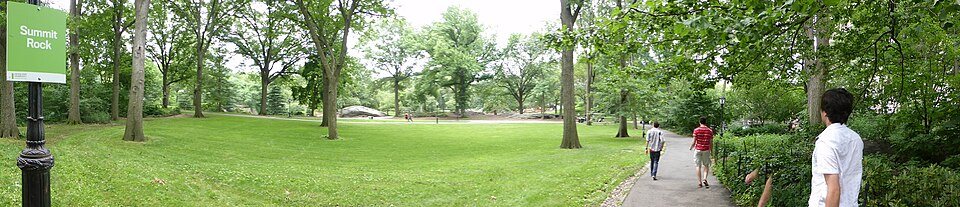 Urban Greening Cuts Extreme Heat Exposure for Birds Across 1,039 Cities