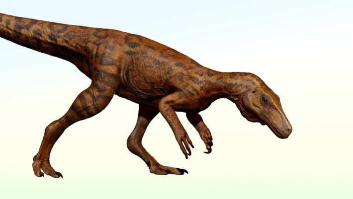 Early Predatory Dinosaurs Endured Ecosystem Shift, Fossil Fragment Shows