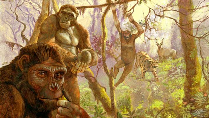 Human Ancestors May Have Climbed Trees with Monkey-Like Feet