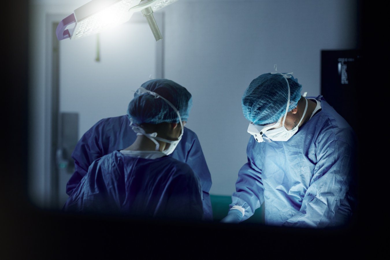 Patient in France dies from first recorded human case of Shamonda virus