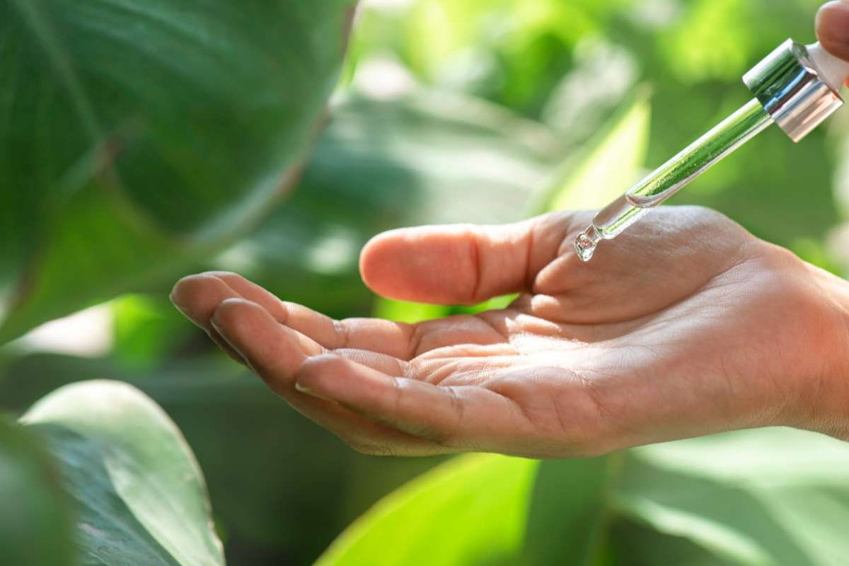 Peppermint Oil Linked to Lower Blood Pressure in Mildly Hypertensive Adults, Study Finds