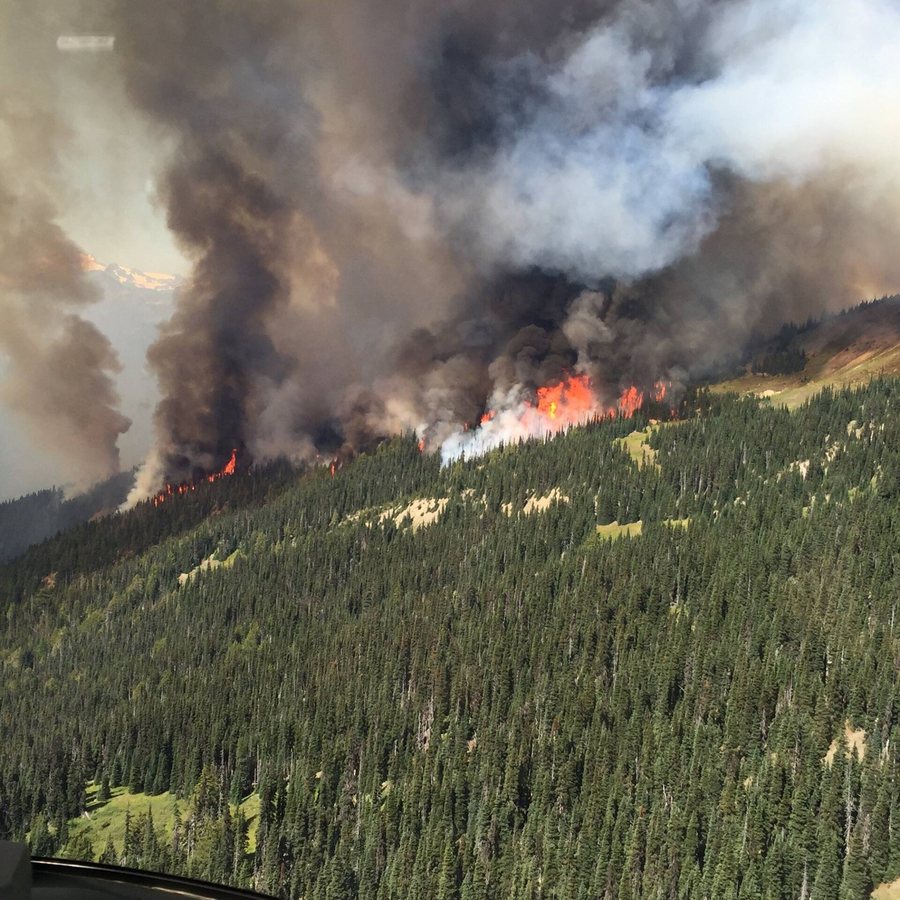 UK Government Quietly Shelved England Wildfire Plan, FOI Request Shows