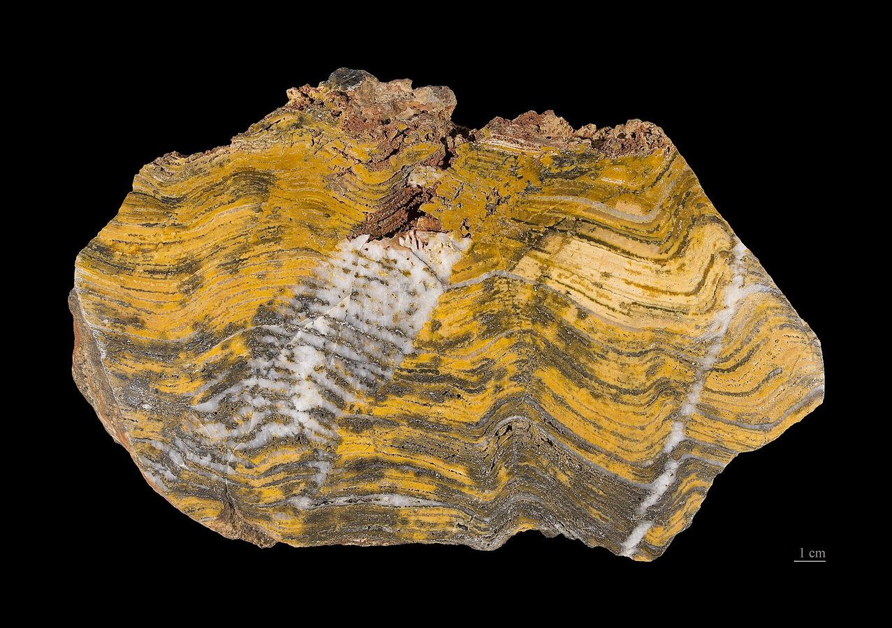 1.7-Billion-Year-Old Fossils Link Oxygen to Rise of Complex Life