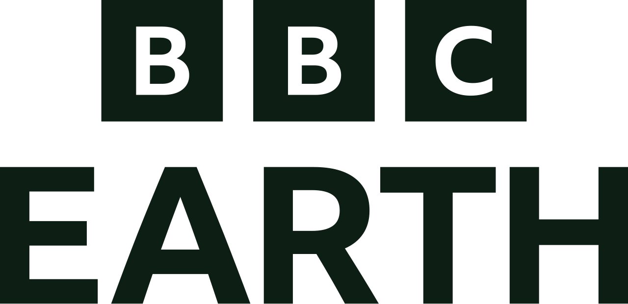 BBC Earth Launches 24/7 4K Livestream of Global Nature and Wildlife