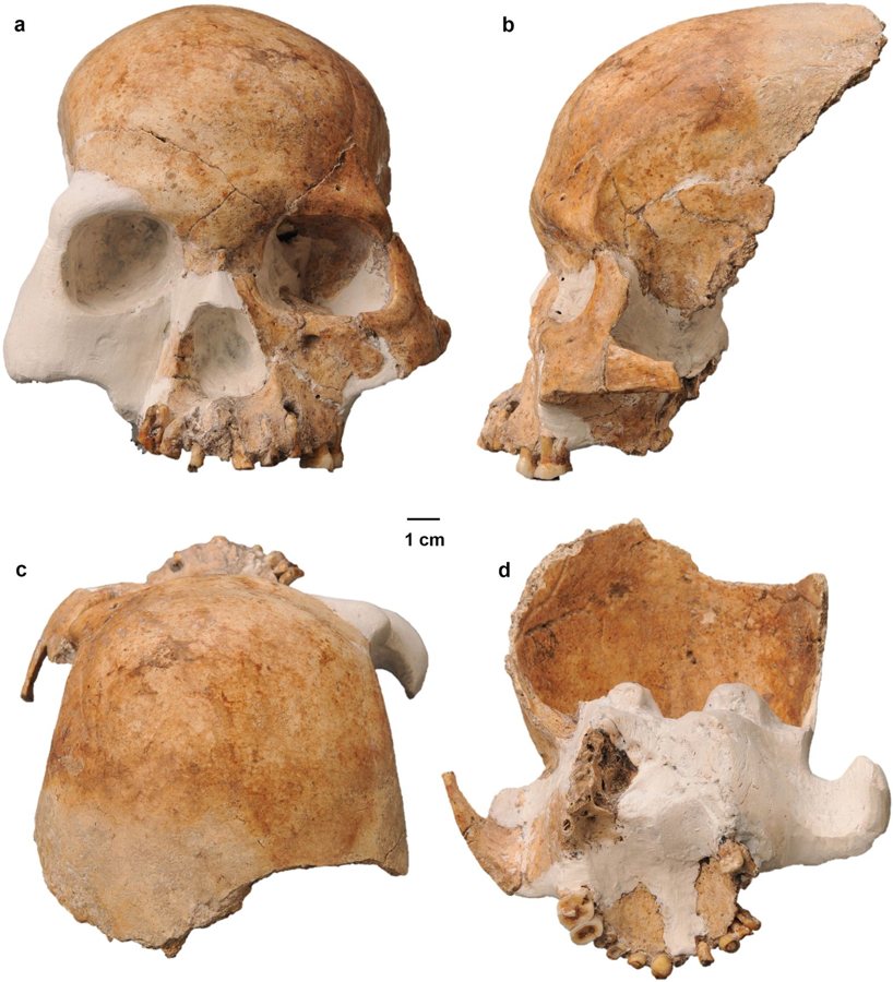 Researchers Extract Ancient Human DNA from Cave Walls for First Time