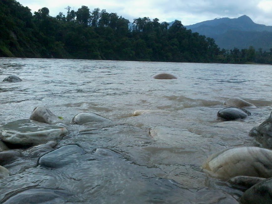 Ice-rock avalanche suspected in deadly Nepal-Tibet flood