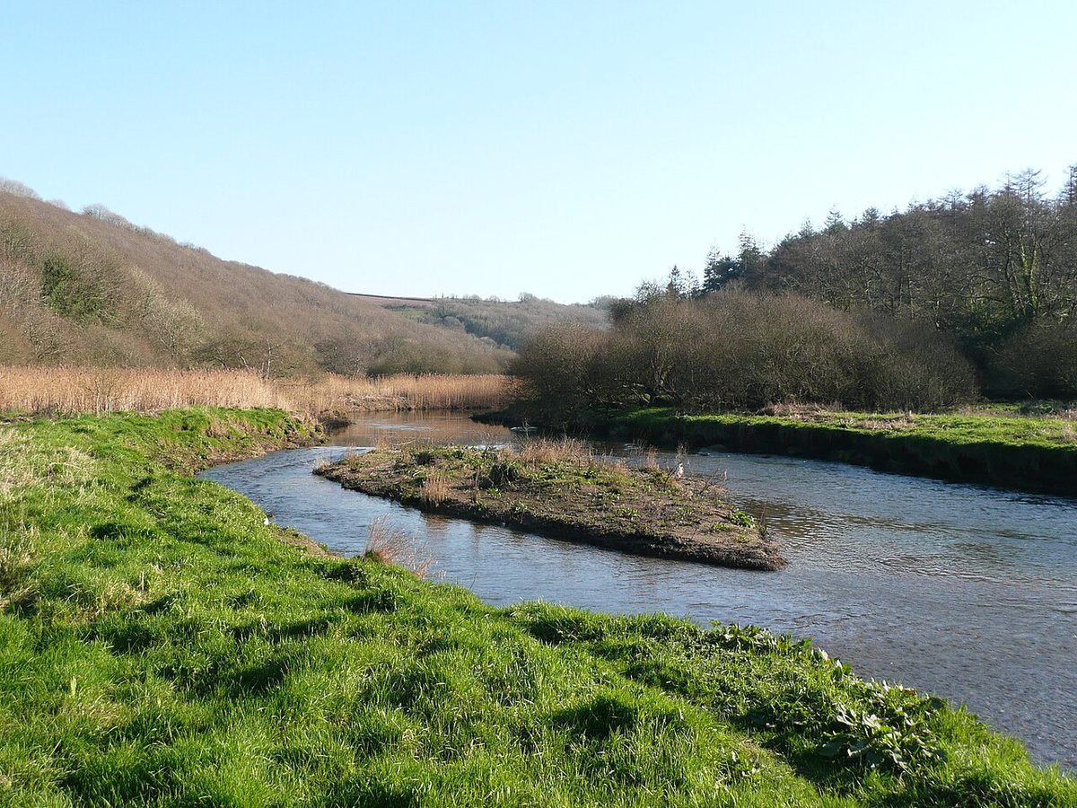 Cornish volunteers and farmers join forces to protect River Fal from algal blooms