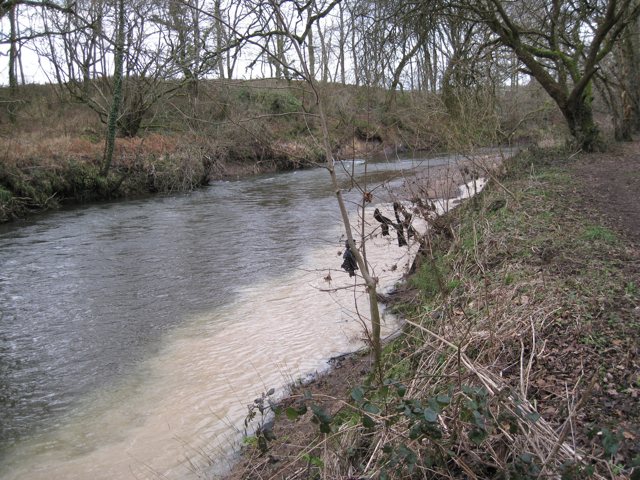 South West Water has worst environmental record in England, analysis shows